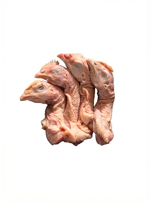 Kepala Ayam Segar Bersih (1 Kg)